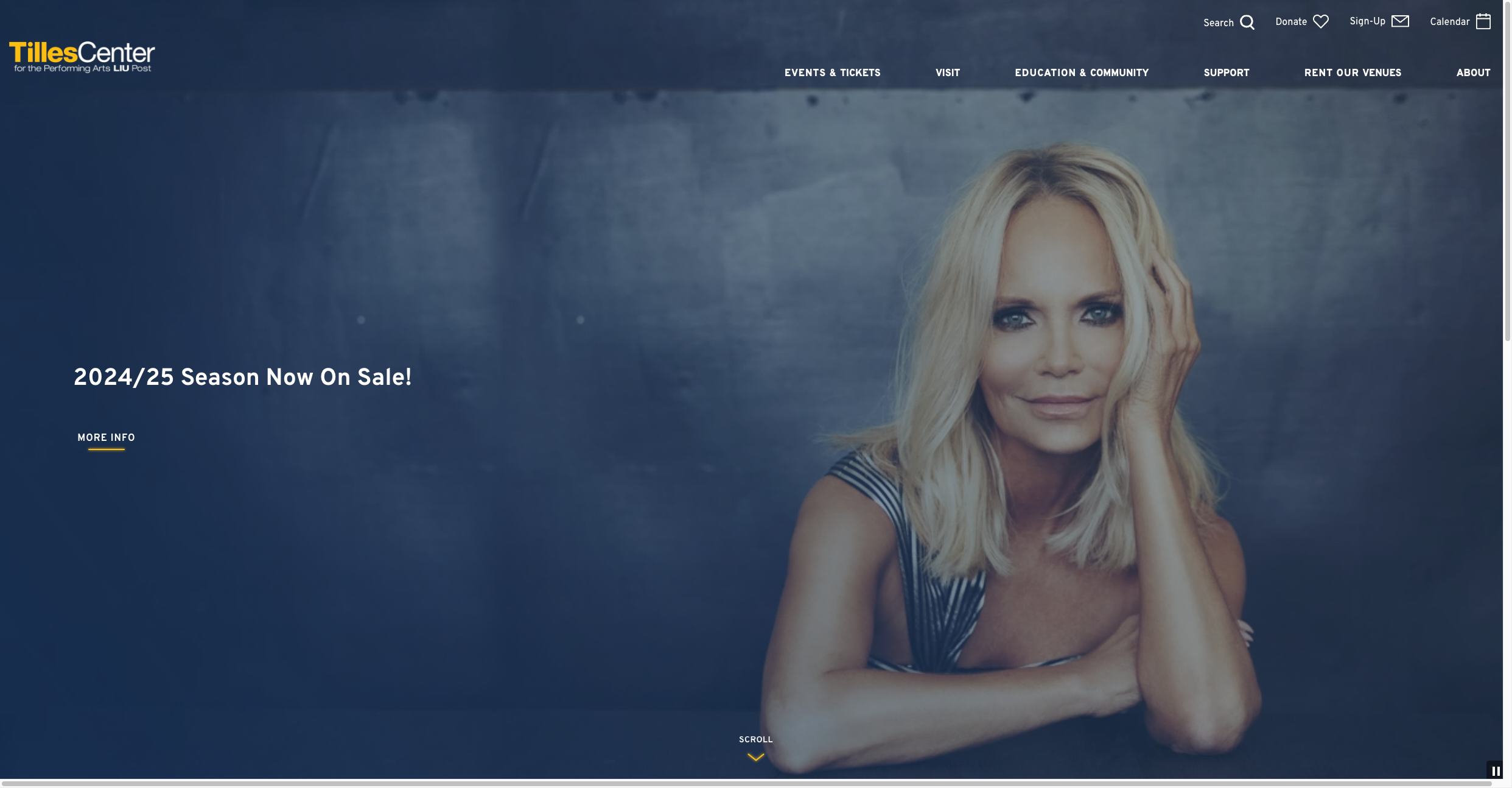 Add-On - Home Page Intro Panel | carbonhouse